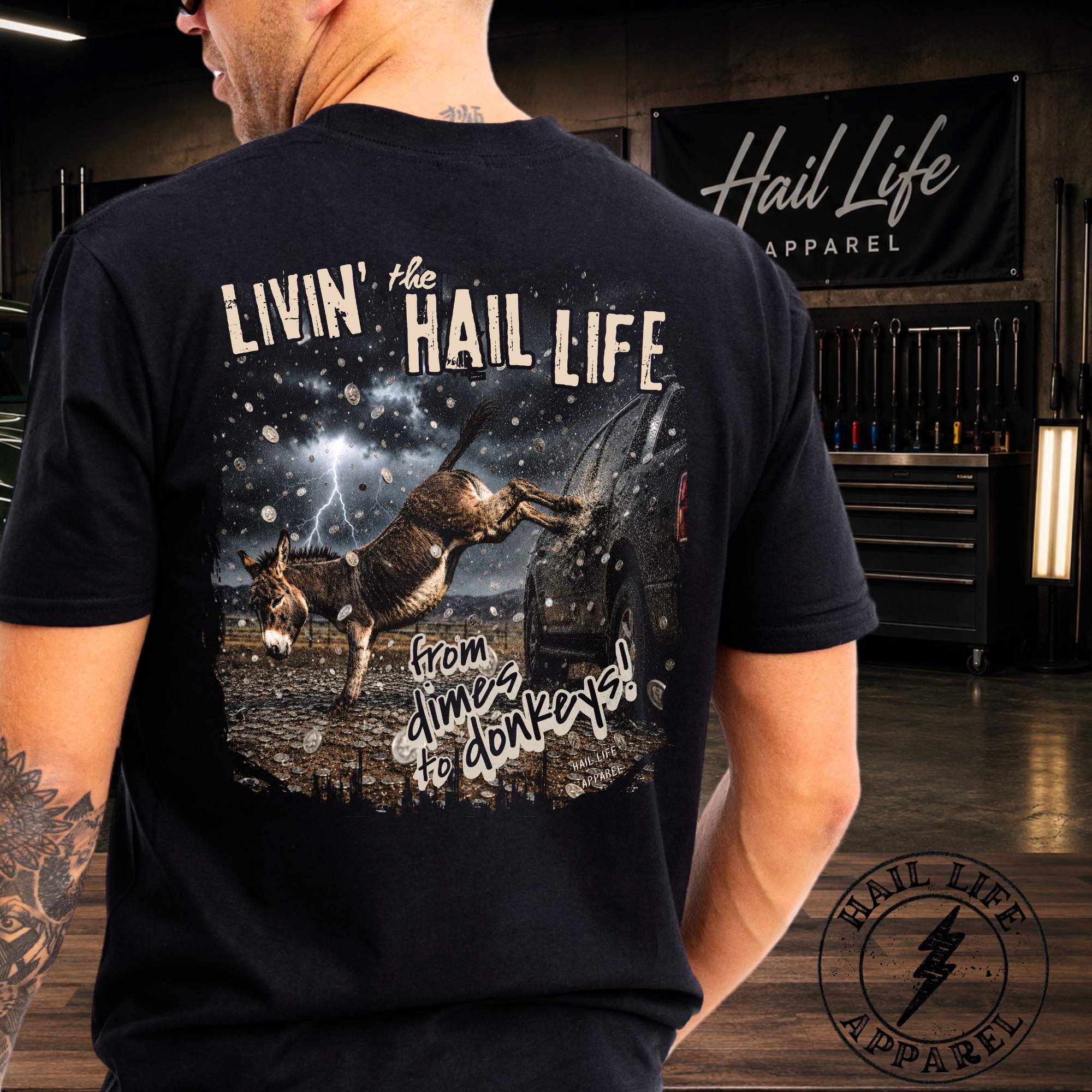 Hail Life — Dimes to Donkeys Graphic Tee